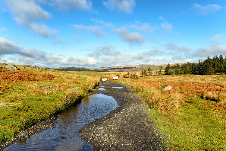 MŽP uvolňuje 330 milionů na zadržení vody v krajině a více zeleně v obcích.